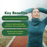 Organika MSM - Joint Support and Inflammation Relief Supplement | Supports Healthier Joints, Bones and Cartilage | Stronger Hair, Skin and Nails | Potent Antioxidant | 1,000mg of MSM - 360 vcaps