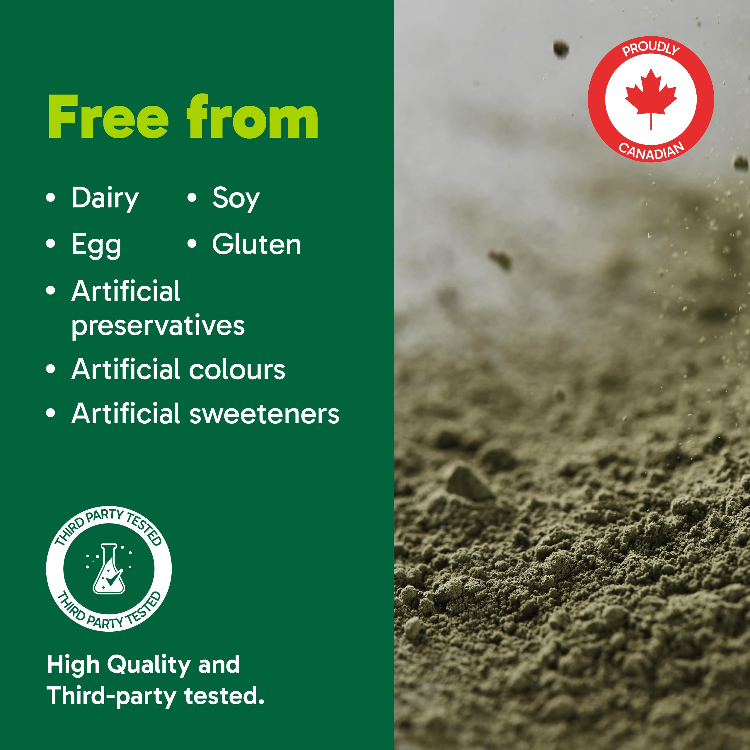 Organika Canadian-Made Digest Greens for Gut Health + Bloat Relief- Organic Greens Powder with NAC and Milk Thistle- Detox, Antioxidants, Digestion and Liver Support - Pineapple Punch Flavour- 340g