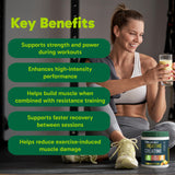 Organika Canadian-Made Creatine Powder - Pure Micronized Creatine Monohydrate - NSF Certified - Supports Strength, Muscle, Recovery and Performance for Men and Women - Fruit Punch - 600g