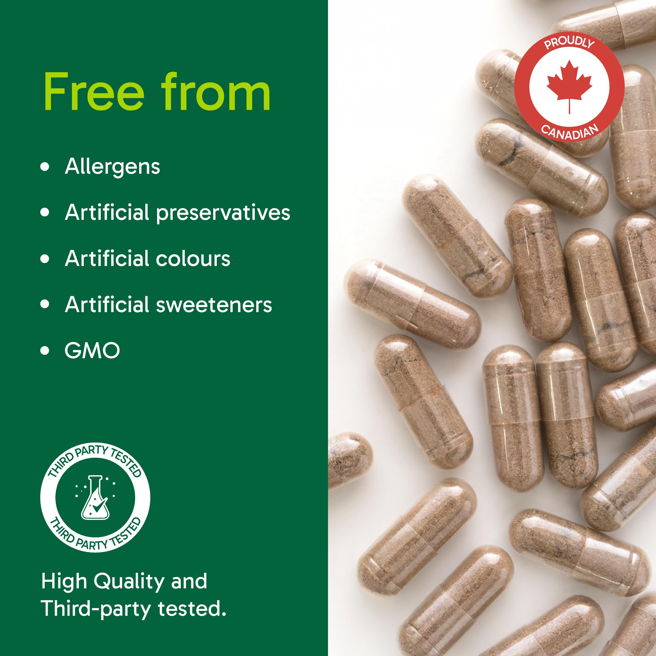 Organika Mushroom Extract - Reishi 90 Vcaps