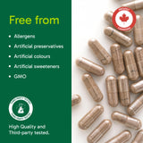 Organika Mushroom Extract - Reishi 90 Vcaps