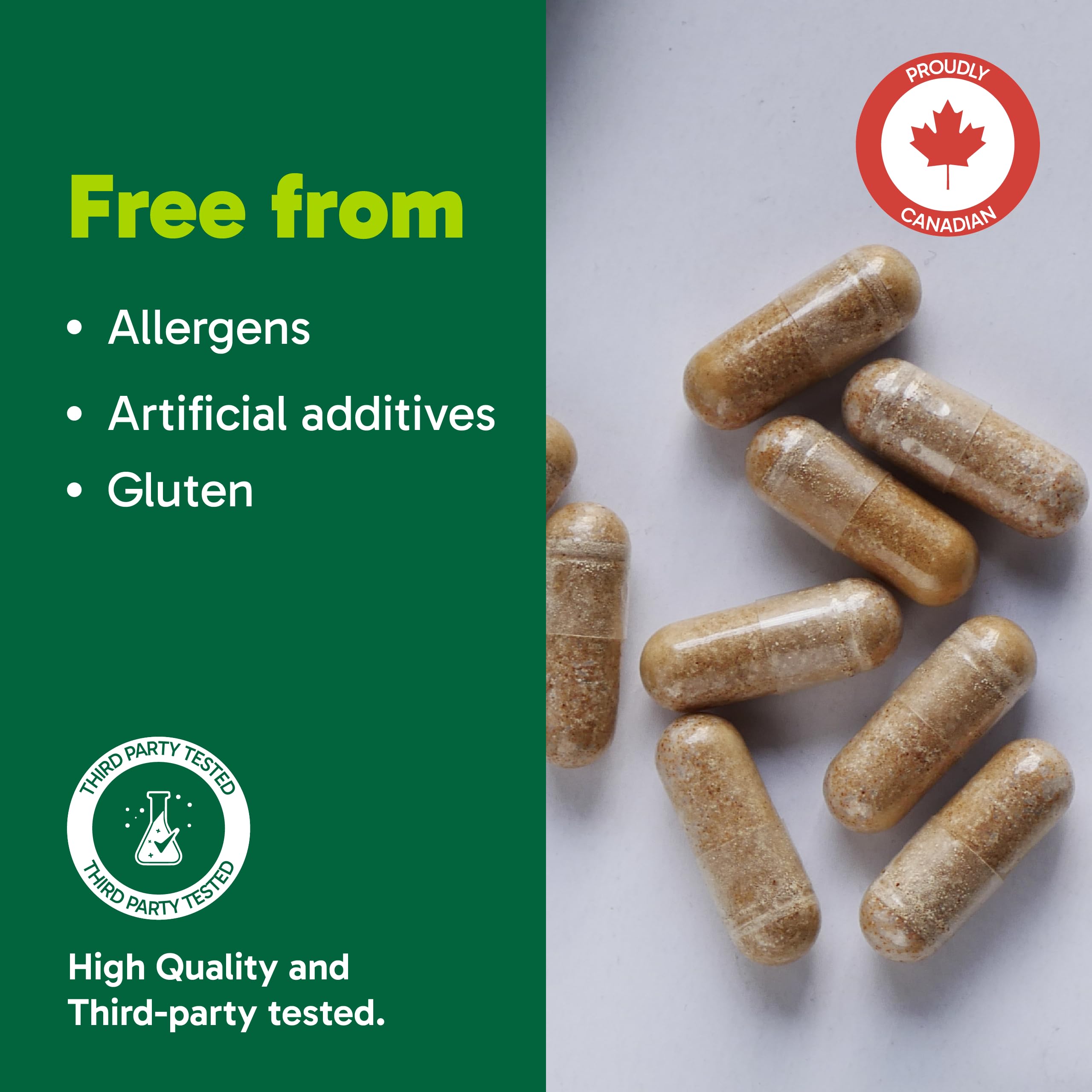 Organika Canadian-Made Absolute Iron - Iron Bisglycinate- High Availability, Gentle on Stomach, Boost Iron Levels- Beneficial for Women and Vegetarians- 120vcaps