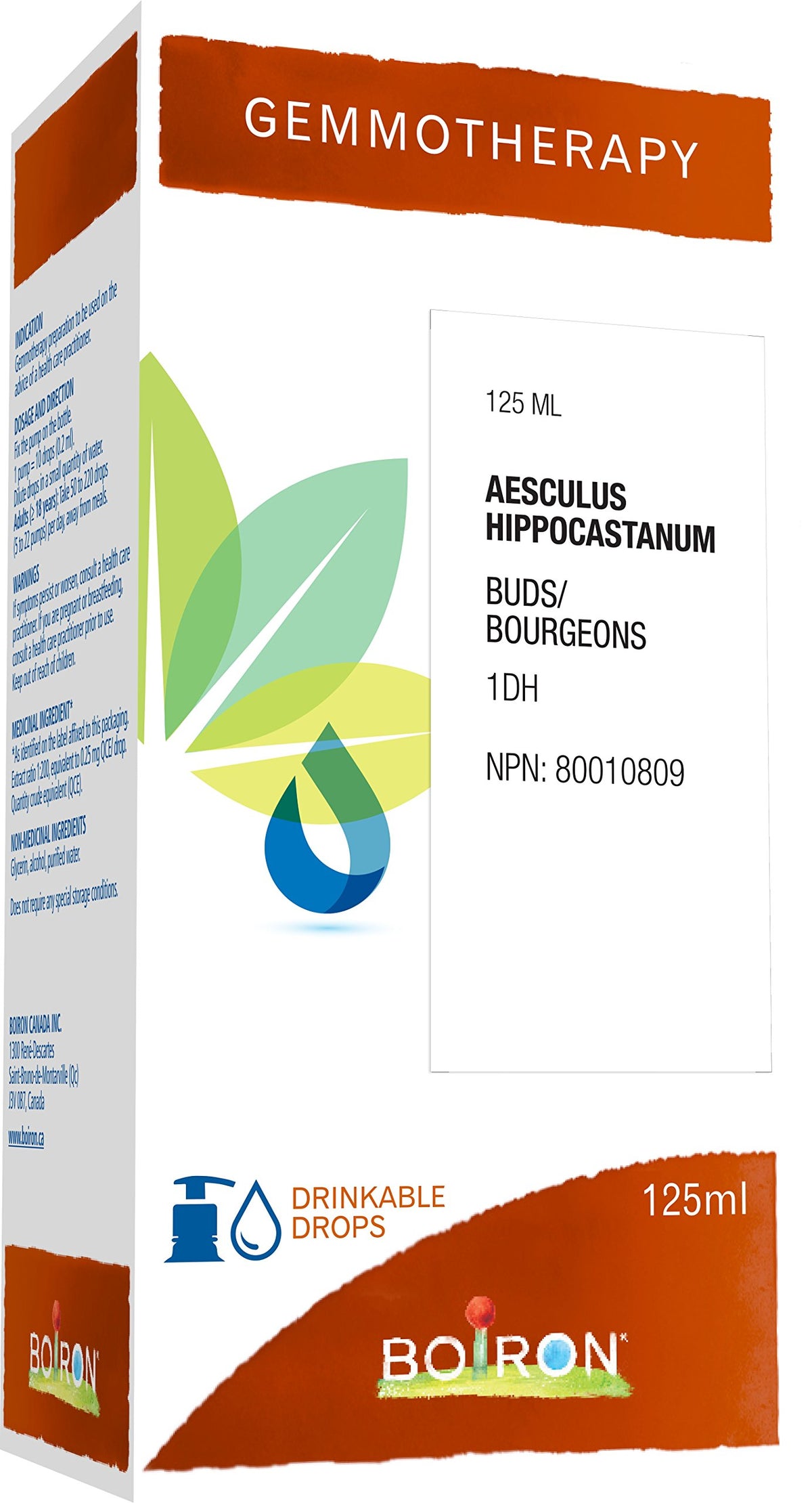 Boiron Gemmotherapy Aesculus hippocastanum buds (horse chestnut) 1dh, homeopathic medicine. Format: 125 mL