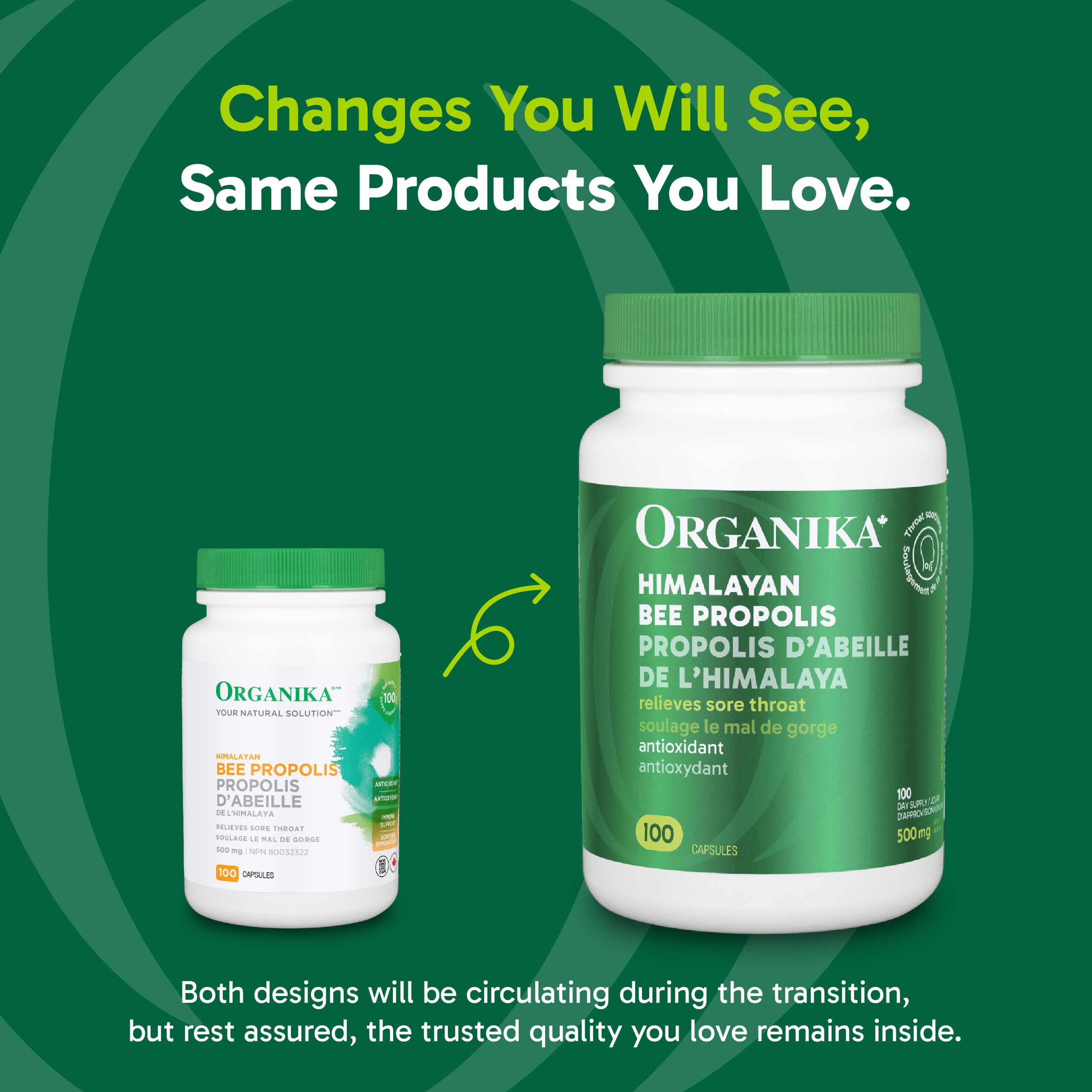 Organika Bee Propolis (Himalayan)- Immune Support- 100caps