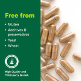 Organika Cordyceps Mushroom- Organic 500mg 4:1 Extract- Immune Support, Antioxidant Support- 120vcaps