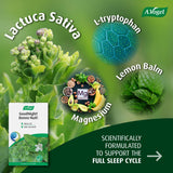 A.Vogel Goodnight! Organic Natural Sleep Aid with Lemon Balm, Lactuca Sativa, L-Tryptophan and Magnesium - Non-Habit Forming Granules for Fast-Acting Restful Sleep 14 x 2g Sachets