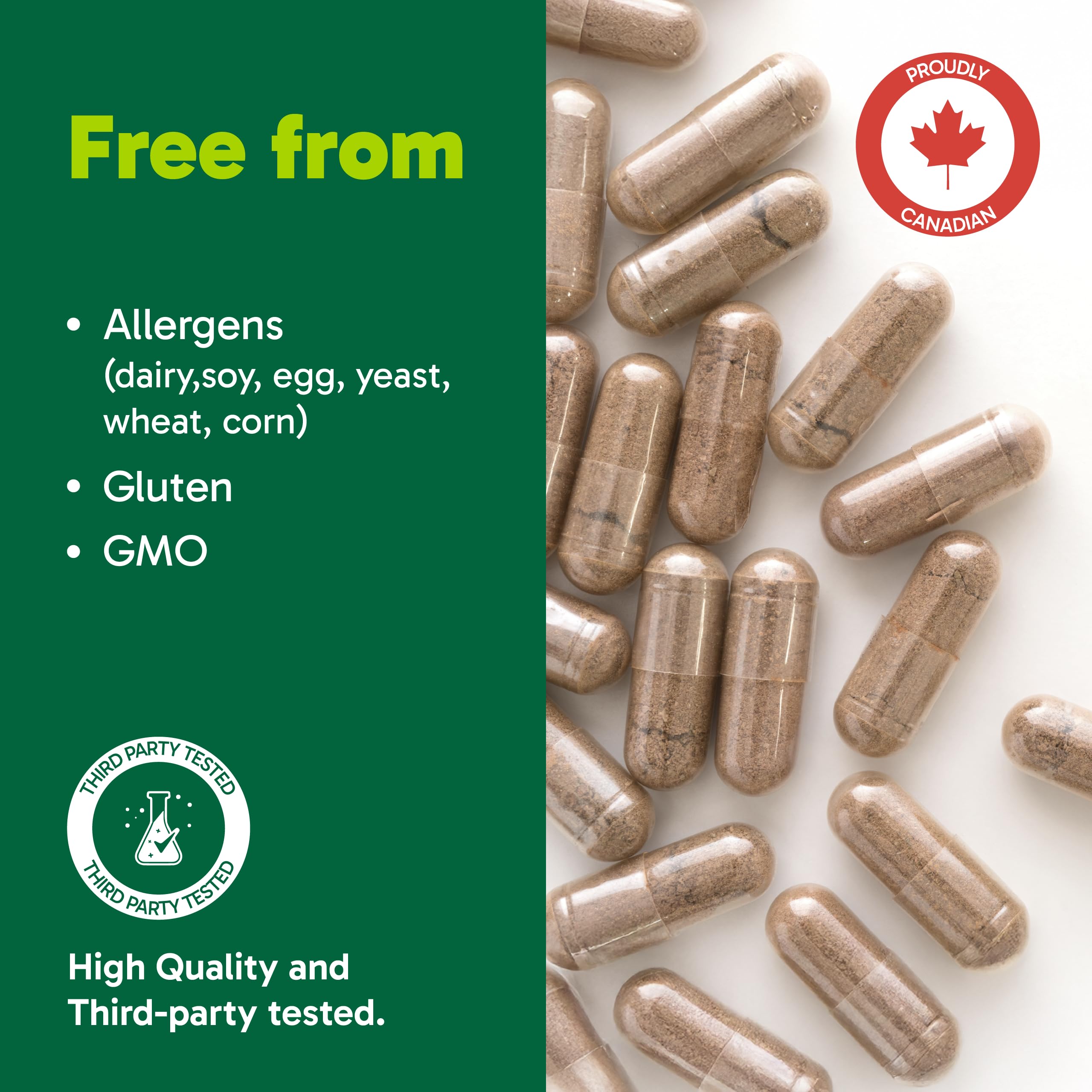 Organika Canadian-Made Chanca Piedra 500 mg - UTI Support | Kidney, Gallblader and Urinary Support, Cleansing- 120 vcaps