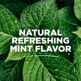 Tom's of Maine Wicked Fresh Cool Mountain Mint Natural Fluoride Free Mouthwash, 473 ml (Pack of 1)
