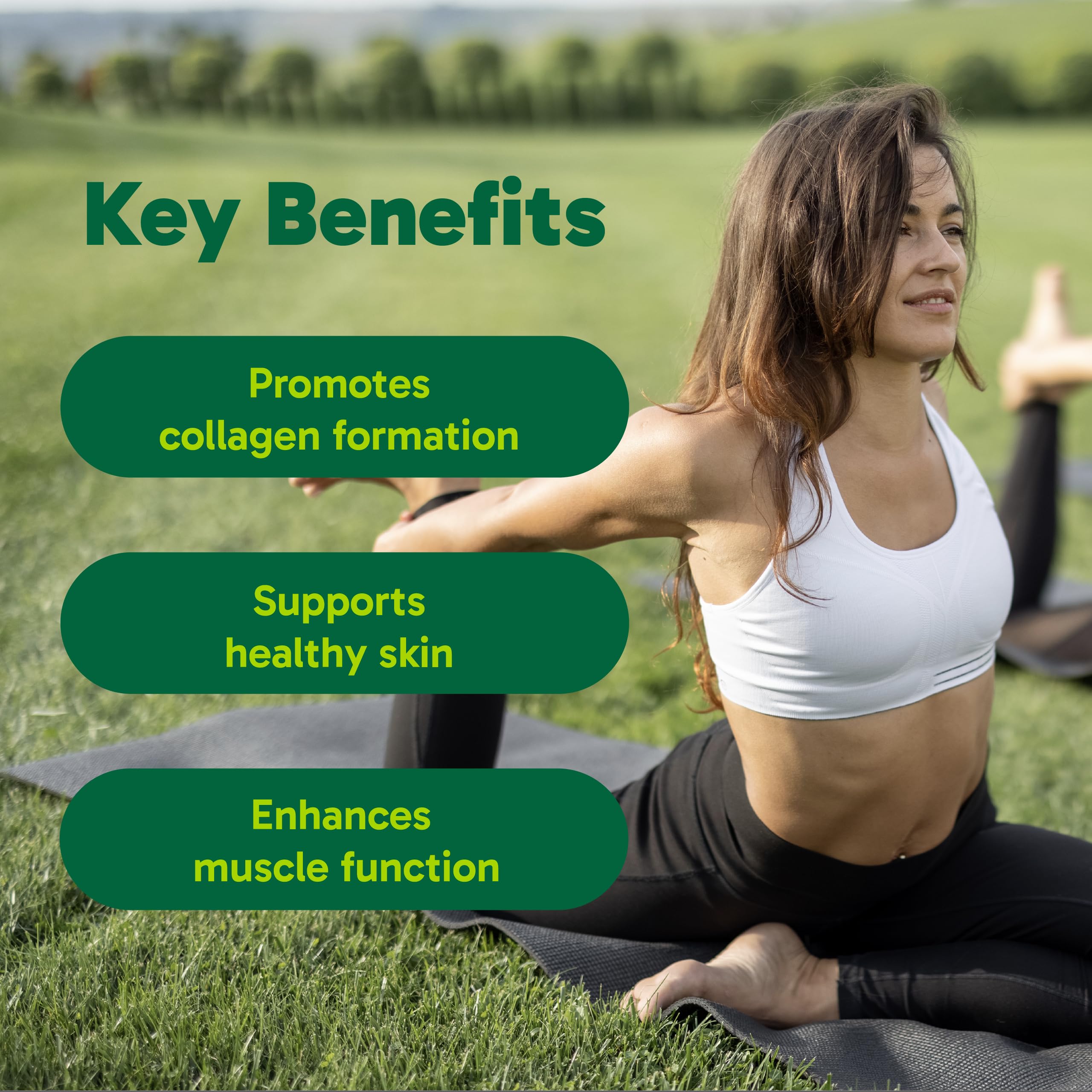 Organika Enhanced Collagen Vitality with Organic Matcha Powder- Sustained Energy and Antioxidant Collagen- 250g