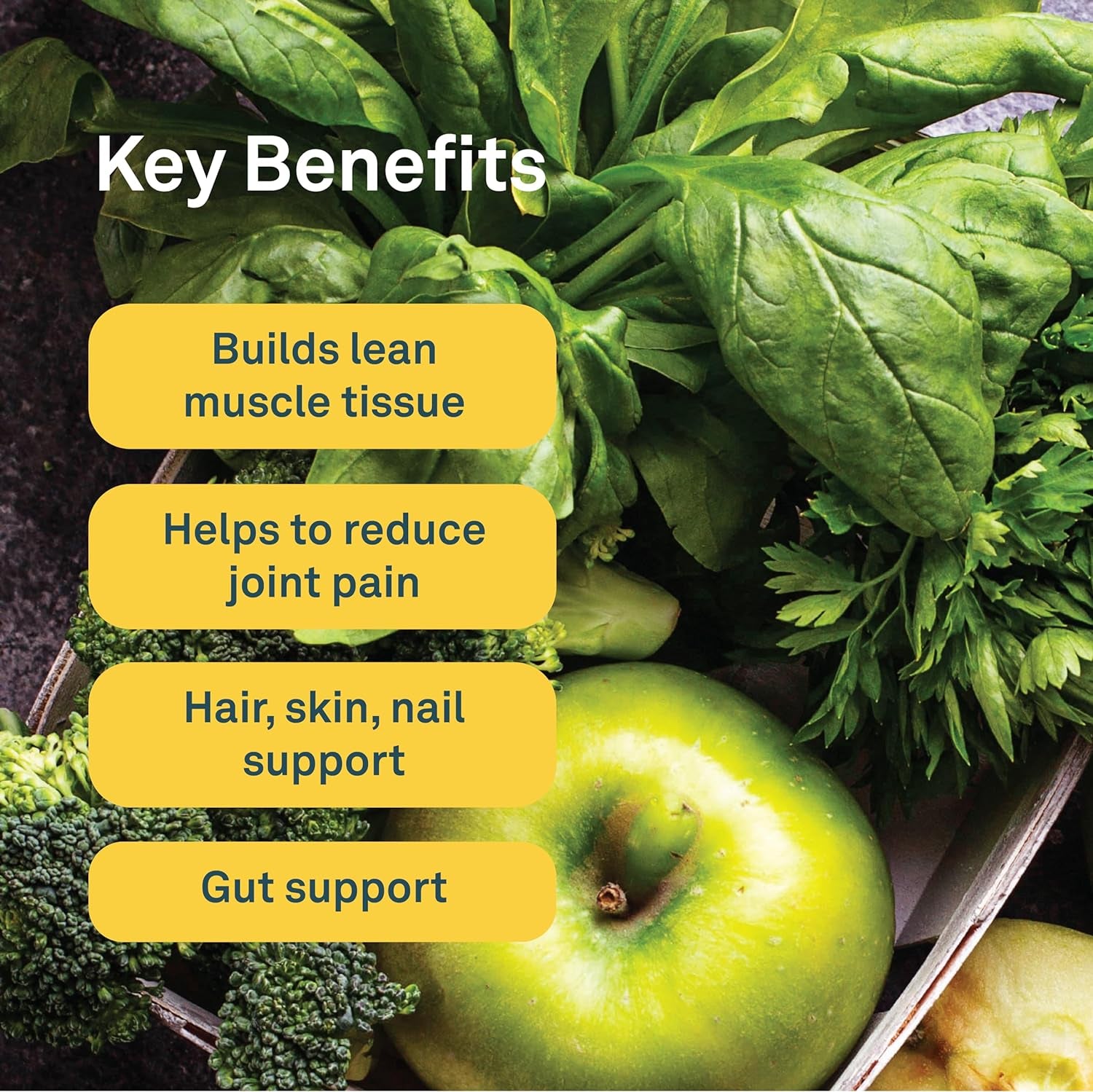 Canadian-Made Power Greens with Enhanced Collagen - 16 Superfoods - Organic Fruits and Vegetables Nutrient Rich Powder Pineapple Punch Flavor with Essential Proteins and Probiotics - 220G